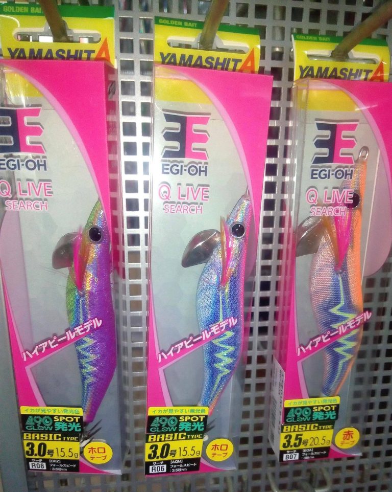 48408494 2160237607330353 560926349515030528 n 768x962