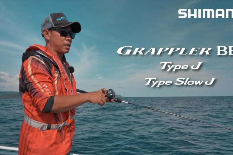 273118319 1425175217942119 4671726067310462351 n 768x512