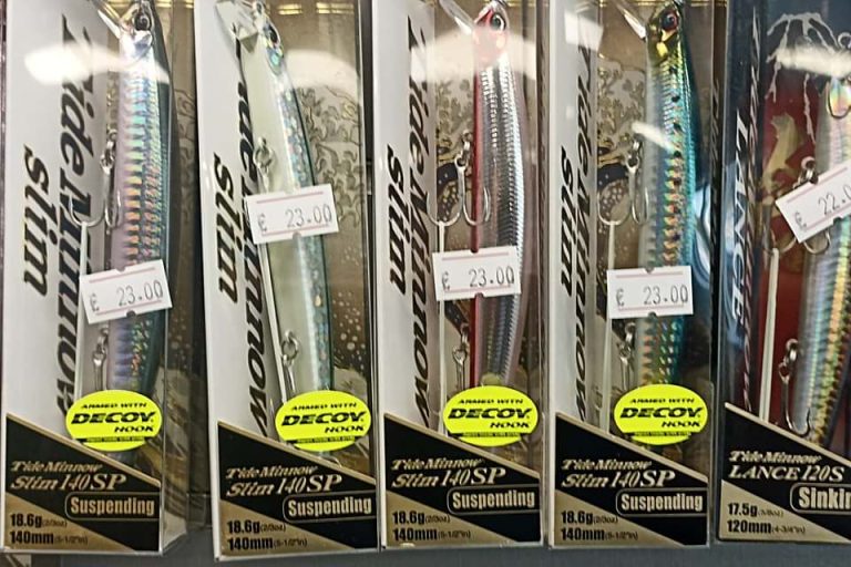 278140955 1178530316296825 9028413904645896509 n 768x512