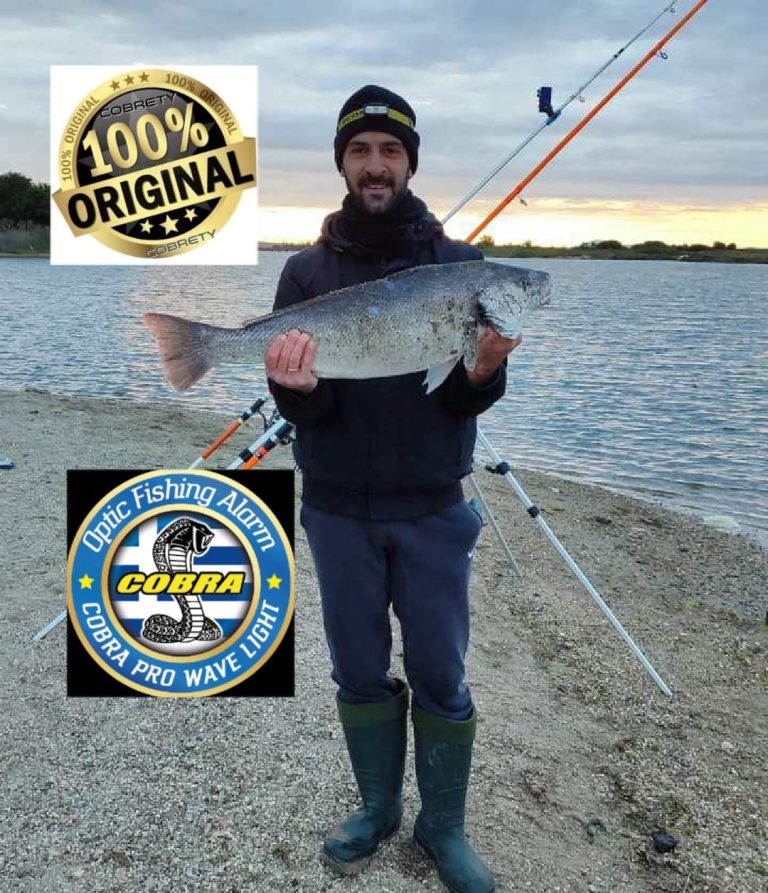 441582792 766542002272248 3870080559473863917 n 768x893