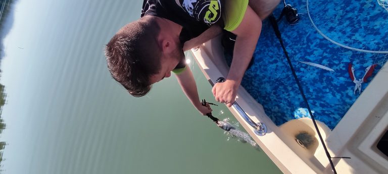IMG 20240601 100311 768x345